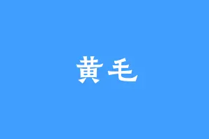 黄毛