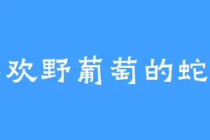 喜欢野葡萄的蛇羽