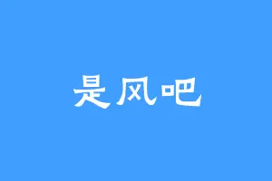 是风吧