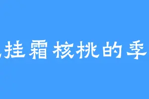 爱吃挂霜核桃的季阿姨