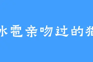 冰雹亲吻过的猫