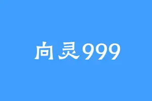 向灵999