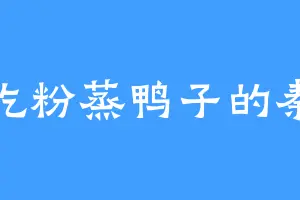 爱吃粉蒸鸭子的秦飞