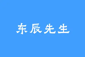 东辰先生