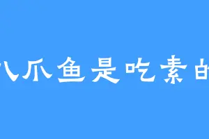 八爪鱼是吃素的