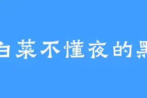 白菜不懂夜的黑