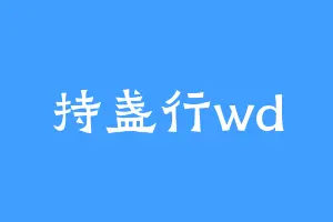 持盏行wd
