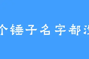 取个锤子名字都没了
