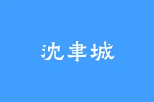 沈聿城