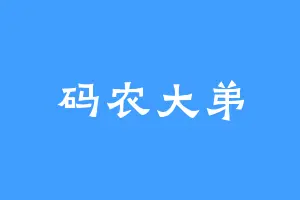 码农大弟