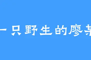 一只野生的廖某