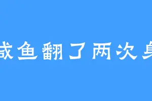 咸鱼翻了两次身