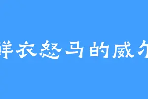 鲜衣怒马的威尔