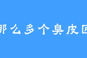 那么多个臭皮匠