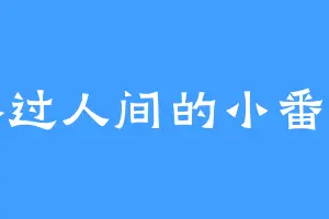 路过人间的小番番