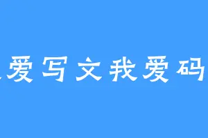 我爱写文我爱码字