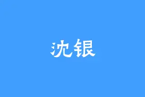 沈银