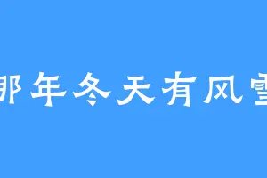 那年冬天有风雪