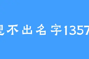 想不出名字13579