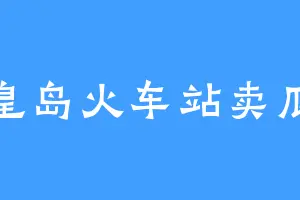 秦皇岛火车站卖瓜子