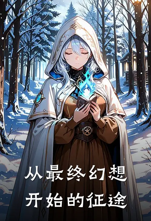 从最终幻想开始的征途