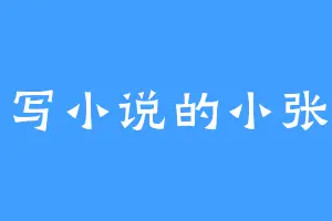 会写小说的小张总
