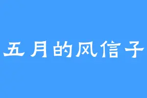 五月的风信子