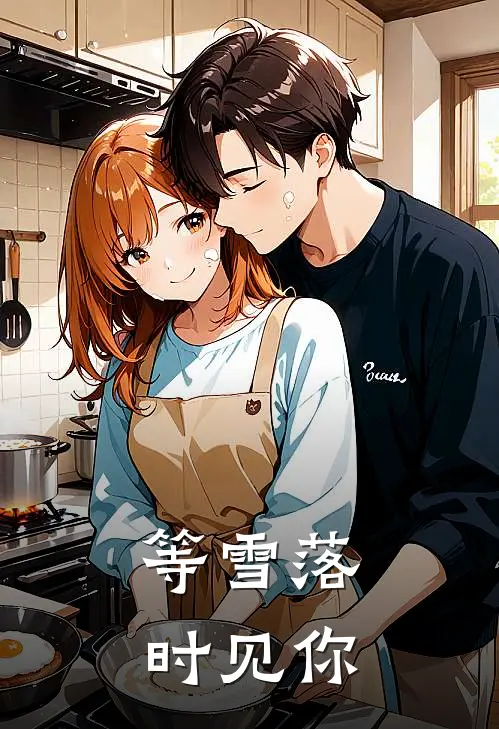 等雪落时见你