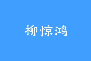 柳惊鸿