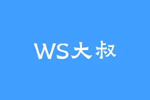 WS大叔