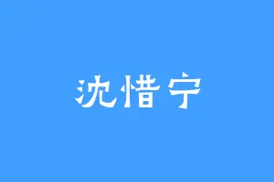 沈惜宁
