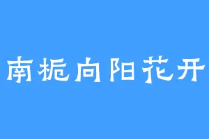 南栀向阳花开