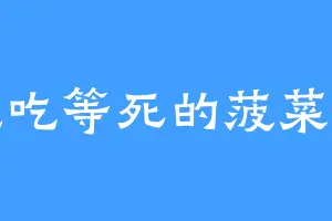 混吃等死的菠菜卷