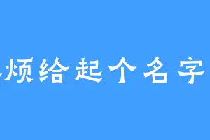 麻烦给起个名字哈
