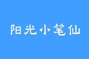 阳光小笔仙