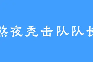 熬夜秃击队队长