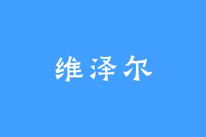 维泽尔