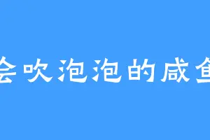 会吹泡泡的咸鱼