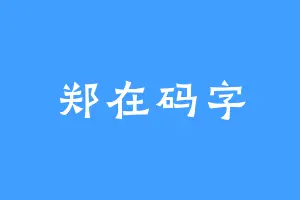 郑在码字