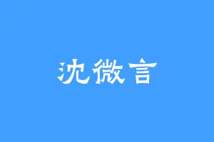沈微言