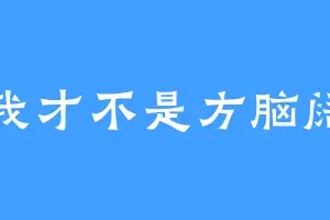 我才不是方脑阔