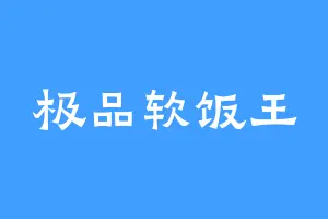 极品软饭王