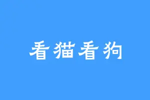 看猫看狗