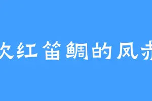 喜欢红笛鲷的凤赤火