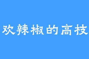 喜欢辣椒的高枝儿