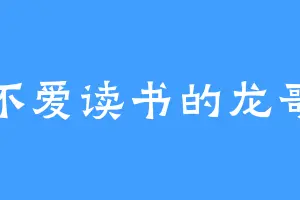 不爱读书的龙哥