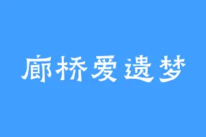 廊桥爱遗梦