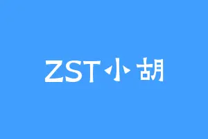 ZST小胡