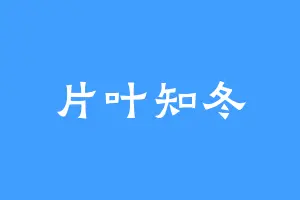 片叶知冬