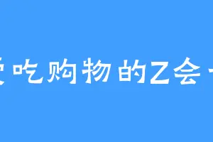 爱吃购物的Z会长